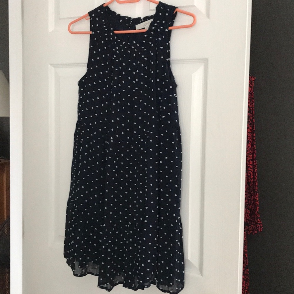 NWT!  Loft swing dress.